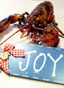 Lobster Joy